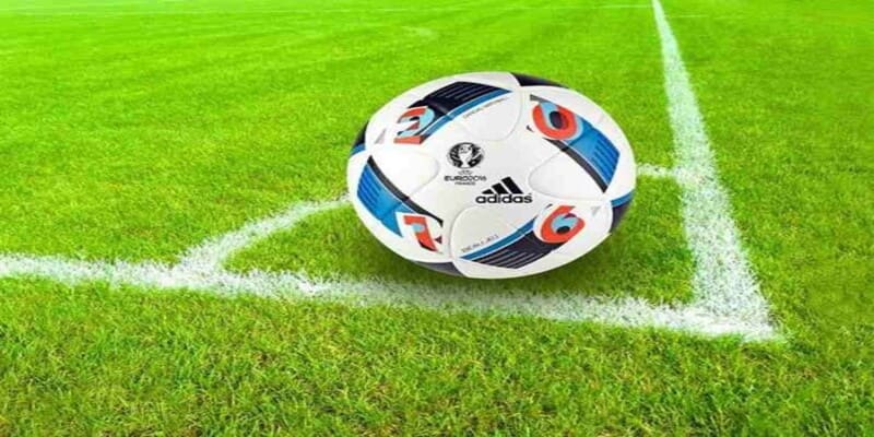 odds trong bóng đá là gì 